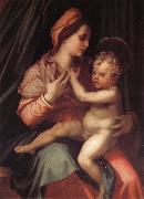 Andrea del Sarto Virgin Mary and her son France oil painting artist